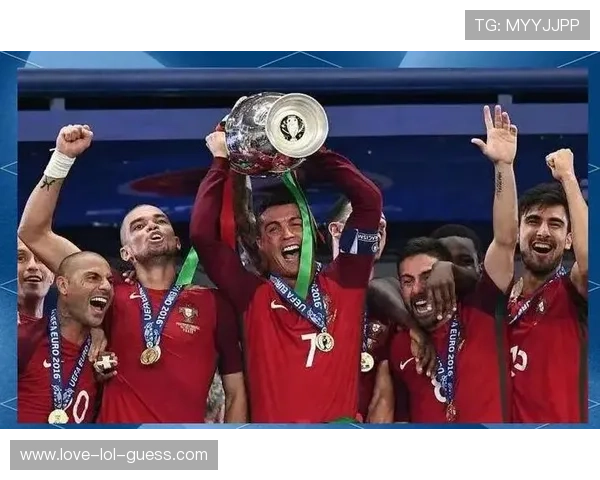 法国足球巨星的辉煌历程与绿茵场上的荣耀时刻